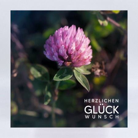 GK 056 Kleeblume